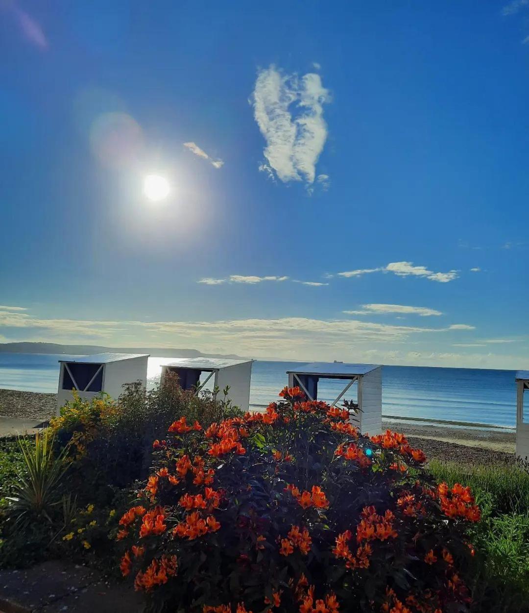 Penn House Hotel Weymouth Dış mekan fotoğraf